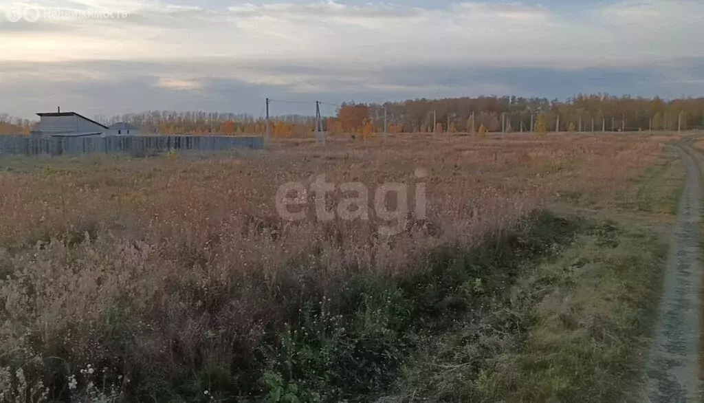 Участок в Курганская область, рабочий посёлок Лебяжье (738 м) - Фото 1