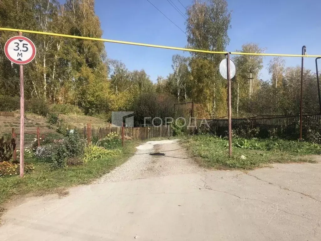 Участок в Новосибирская область, Новосибирский район, с. Раздольное  ... - Фото 0