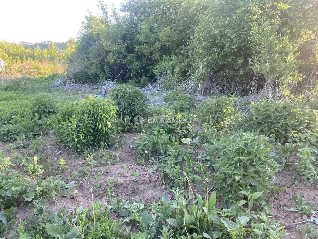 Участок в Нижегородская область, Нижний Новгород д. Кузьминка, ул. ... - Фото 1