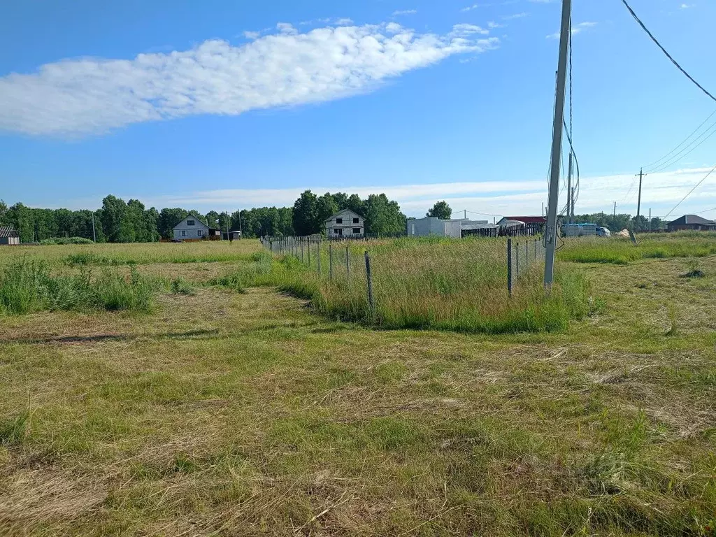 Участок в Челябинская область, Сосновский муниципальный округ, с. ... - Фото 2