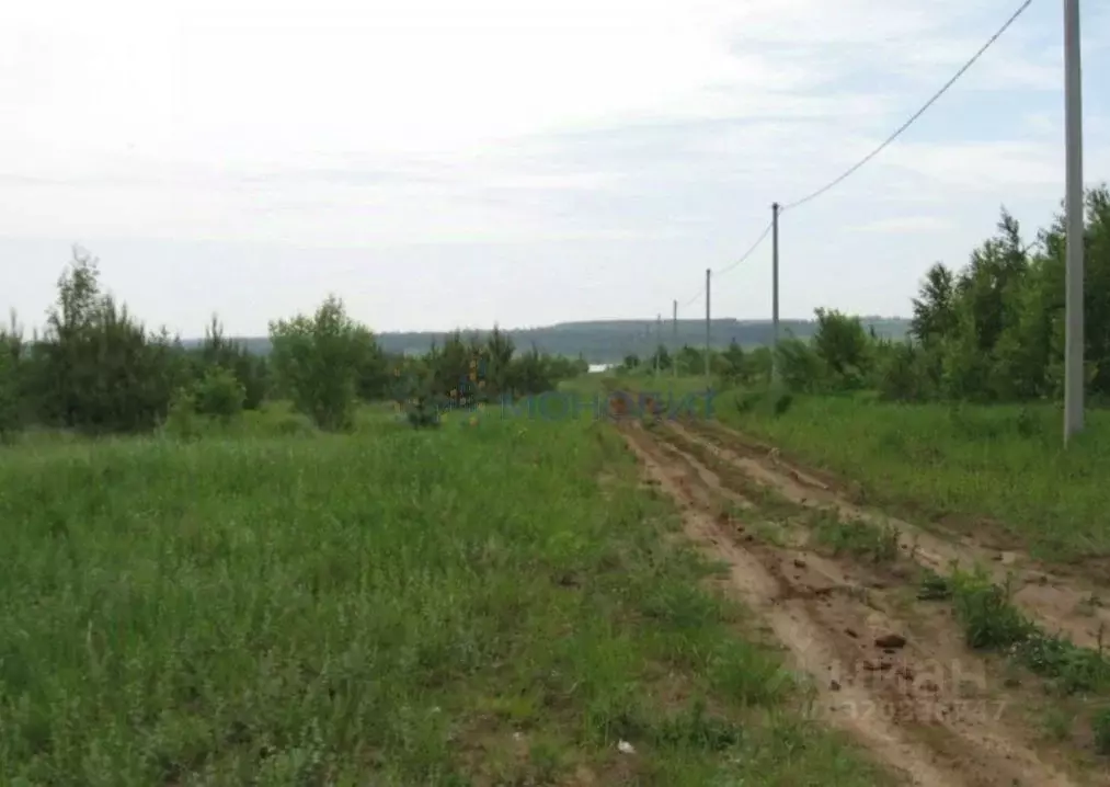 Участок в Нижегородская область, Богородский муниципальный округ, д. ... - Фото 2