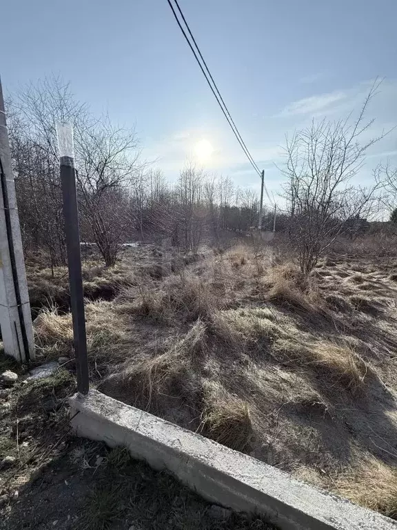 Участок в Калининградская область, Светлогорский городской округ, пос. ... - Фото 2