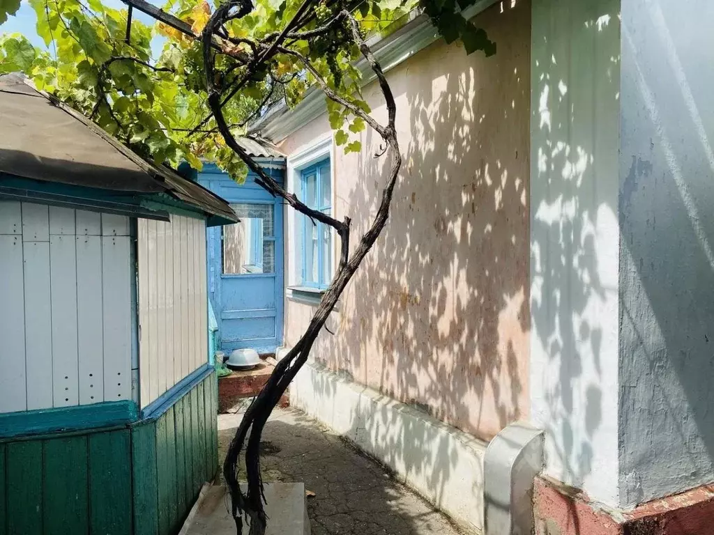 Дом в Краснодарский край, Анапа ул. Шевченко (67 м) - Фото 1