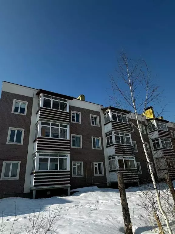 1-к кв. Ярославская область, Ярославский муниципальный округ, д. ... - Фото 1