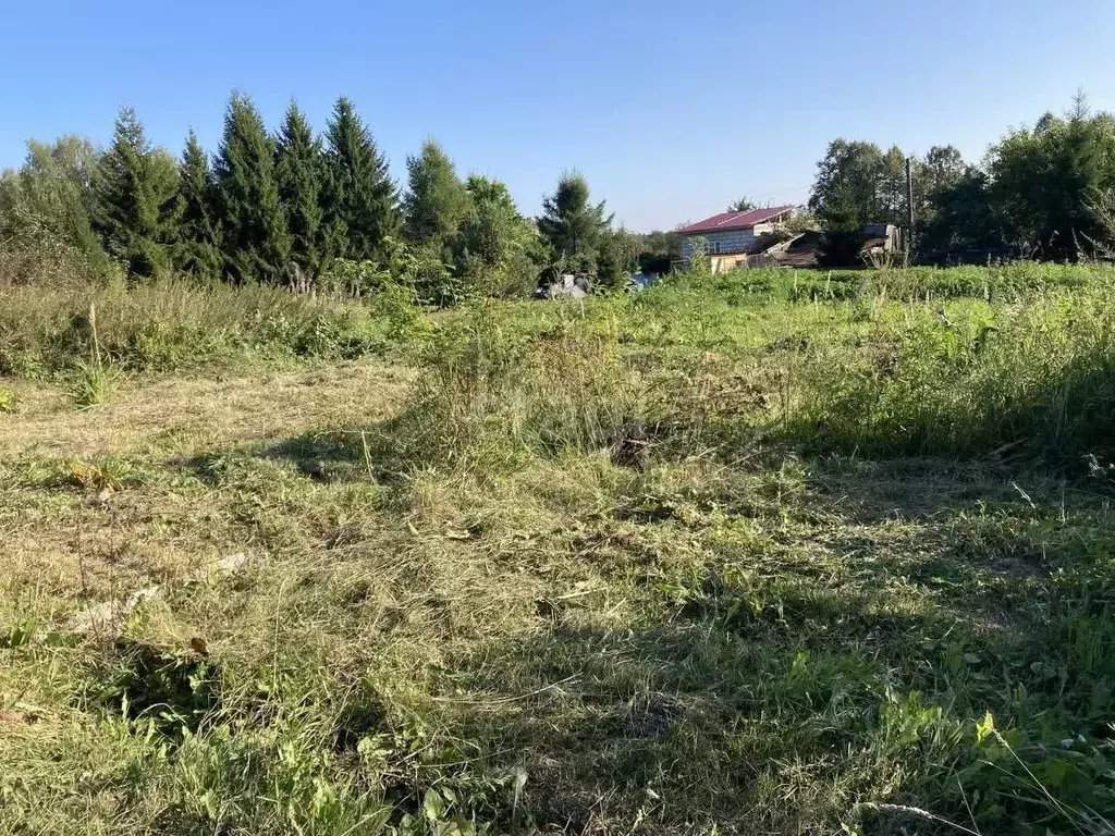 Участок в Костромская область, Костромской район, Кузнецовское с/пос, ... - Фото 1