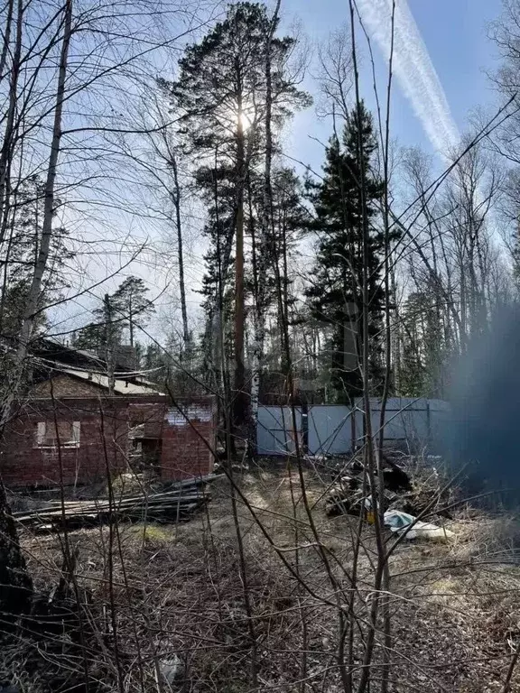 Участок в Красноярский край, Красноярск Березка-2 сельскохозяйственный ... - Фото 0