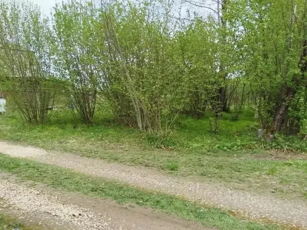 Участок в Калужская область, Боровский муниципальный округ, СНТ Сатурн ... - Фото 1