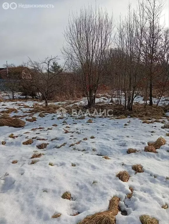 Участок в Калининградская область, Багратионовский муниципальный ... - Фото 2
