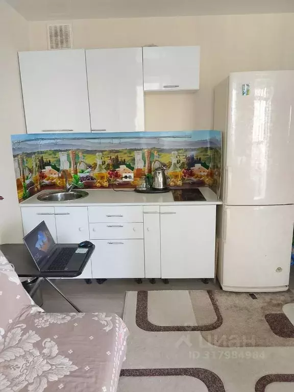 Студия Красноярский край, Красноярск Дудинская ул., 2Б (28.2 м) - Фото 1