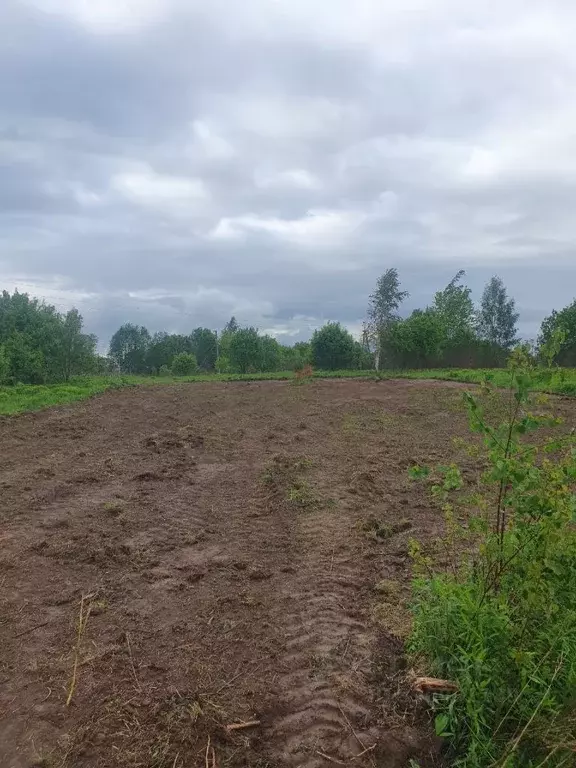 Участок в Псковская область, Псковский муниципальный округ, д. ... - Фото 1