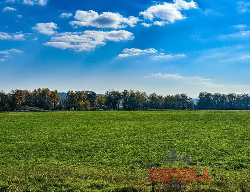 Участок в Краснодарский край, Крымск  (285.0 сот.) - Фото 1