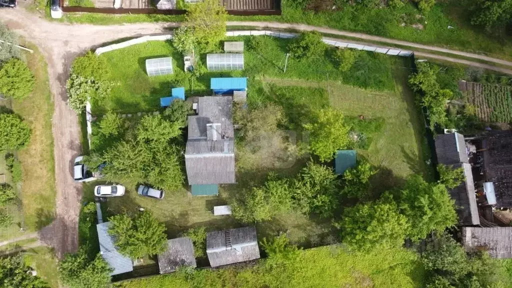 Дом в Псковская область, Остров ул. Володарского, 18 (48 м) - Фото 2