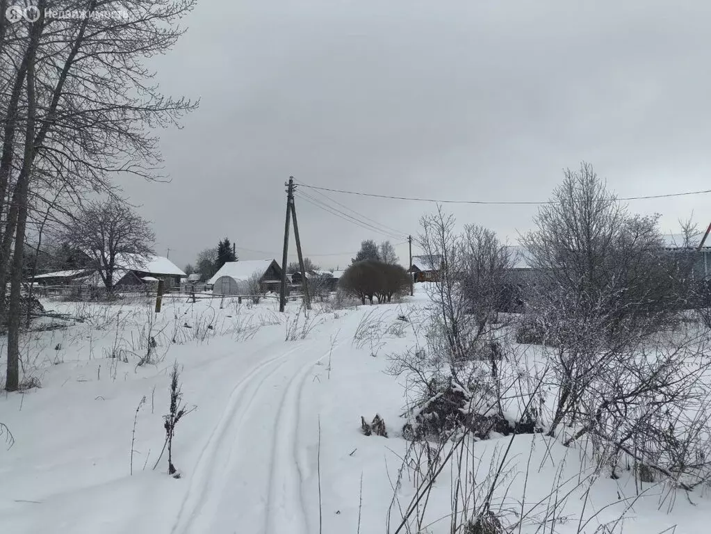 Участок в Вологодская область, Кирилловский муниципальный округ, ... - Фото 1