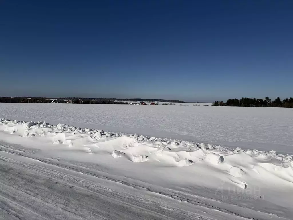Участок в Владимирская область, Александровский муниципальный округ, ... - Фото 2