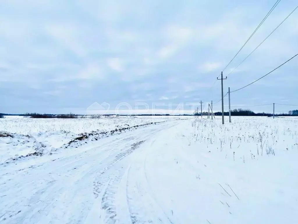 Участок в Тюменская область, Тюменский район, д. Марай  (13.73 сот.) - Фото 0