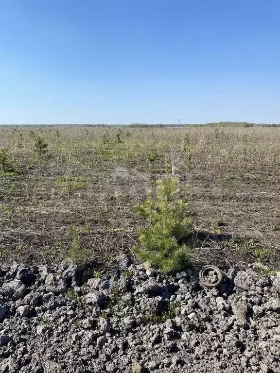 Участок 10 сот. (ИЖС) - Фото 1