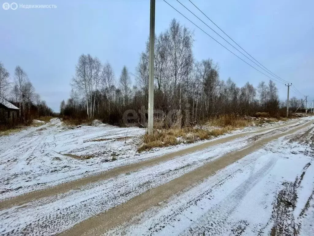 Участок в Тюменская область, Нижнетавдинский муниципальный округ, СНТ ... - Фото 1