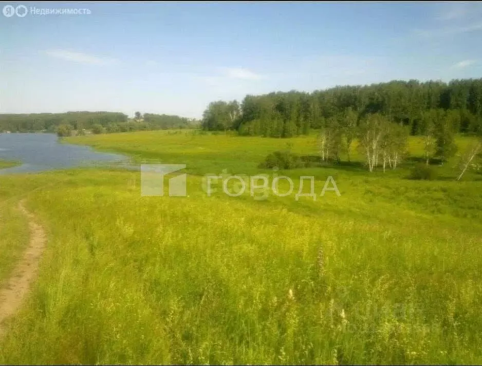 Участок в Новосибирская область, Мошковский район, с. Сокур ул. ... - Фото 0