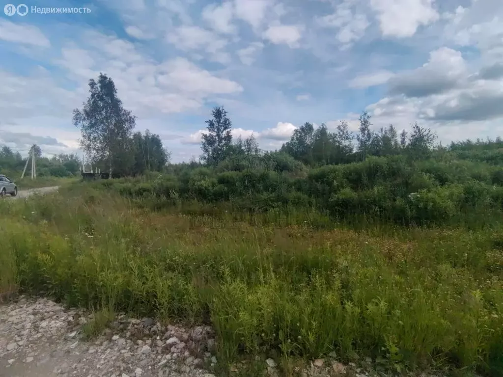 Участок в Московская область, Богородский городской округ, массив ... - Фото 1