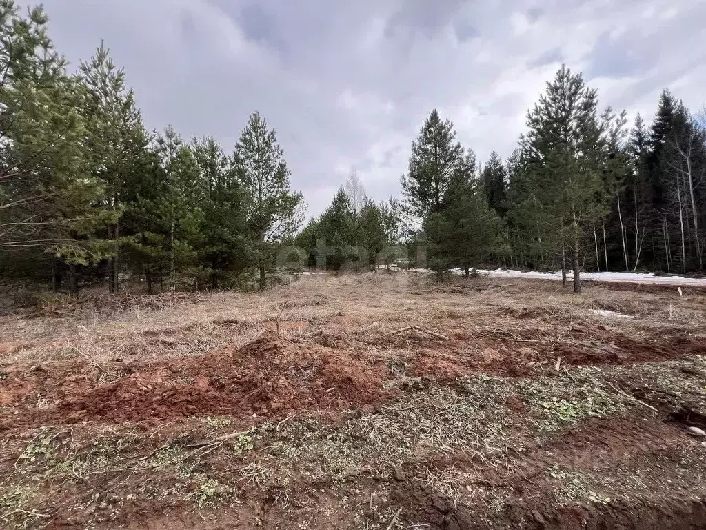 Участок в Удмуртия, Завьяловский район, д. Старый Чультем ул. ... - Фото 1