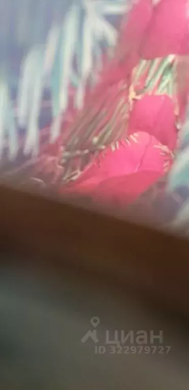 Помещение свободного назначения в Забайкальский край, Краснокаменск ... - Фото 1