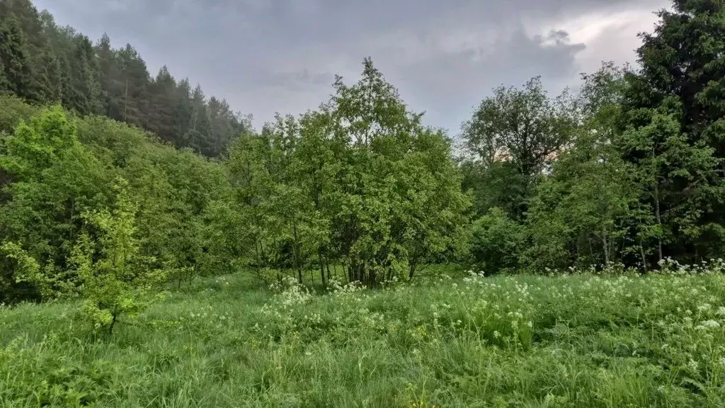 Участок в Московская область, Сергиево-Посадский городской округ, д. ... - Фото 0