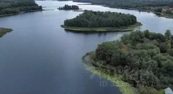 Участок в Псковская область, Пустошкинский муниципальный округ, д. ... - Фото 1
