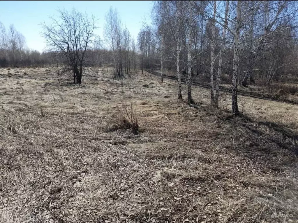 Купить Участок В Петровском Челябинской Области