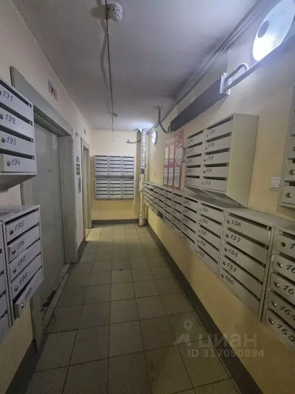 Студия Новосибирская область, Новосибирск ул. Фадеева, 66/8 (26.0 м) - Фото 1