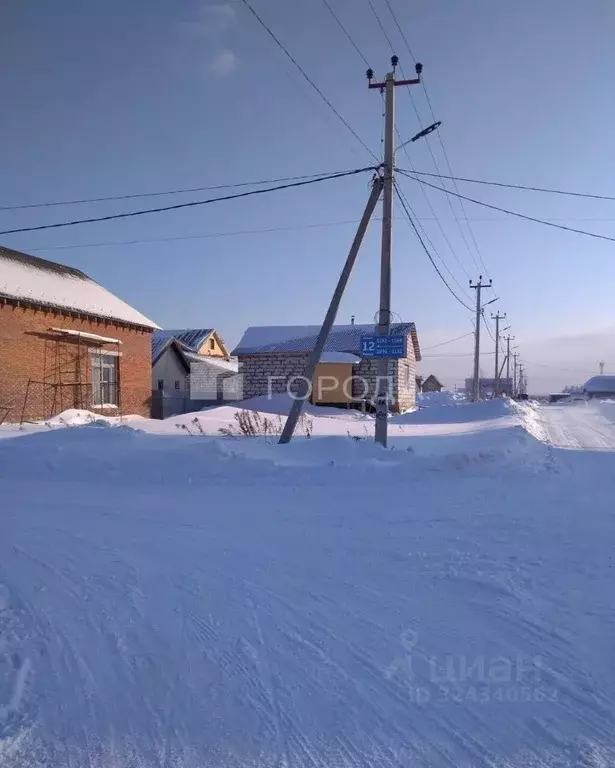 Участок в Новосибирская область, Новосибирский район, Каменский ... - Фото 2