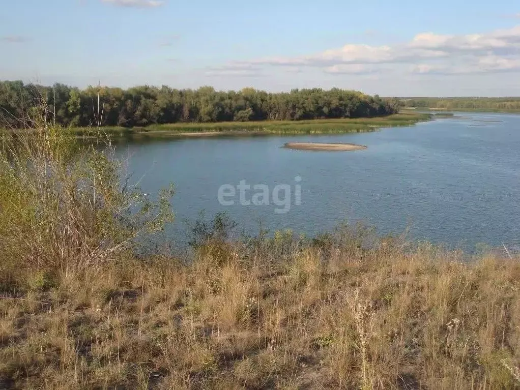 Участок в Волгоградская область, Городищенский район, Вертячинское ... - Фото 2