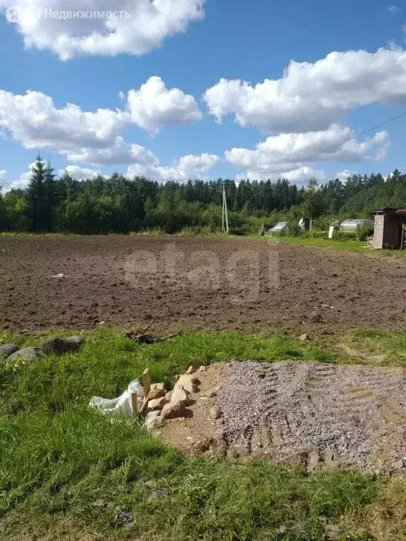 Участок в Мшинское сельское поселение, деревня Сорочкино (10.63 м) - Фото 2