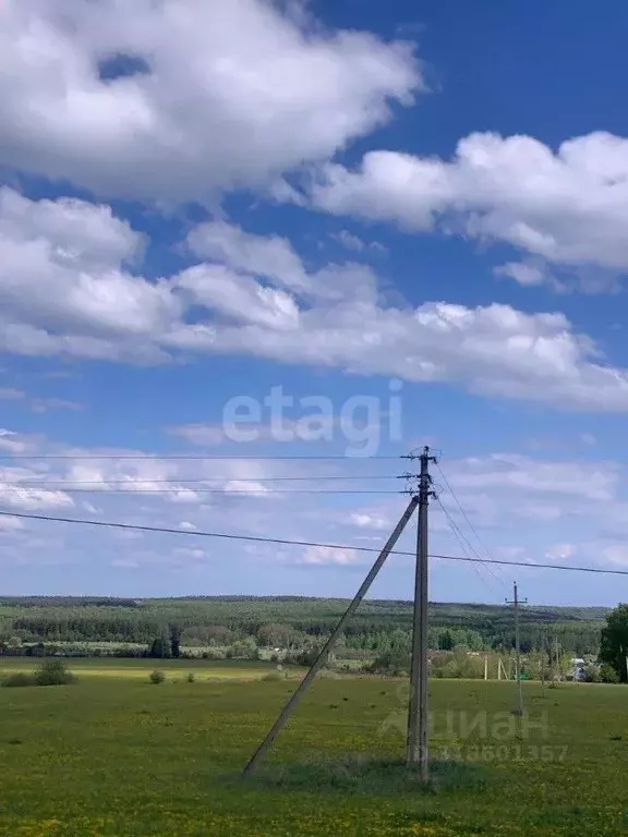 Участок в Башкортостан, Иглинский район, с. Ивано-Казанка  (500.0 ... - Фото 1