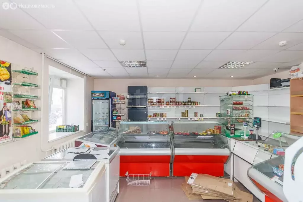 Торговая площадь (68.6 м) - Фото 2