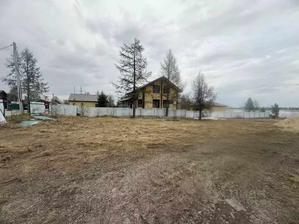 Участок в Ямало-Ненецкий АО, Новый Уренгой Энтузиаст СОДНТ, ул. ... - Фото 2