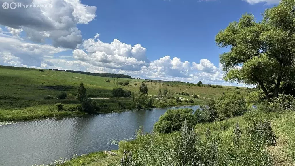 Участок в Киреевский район, сельское поселение Богучаровское, деревня ... - Фото 2