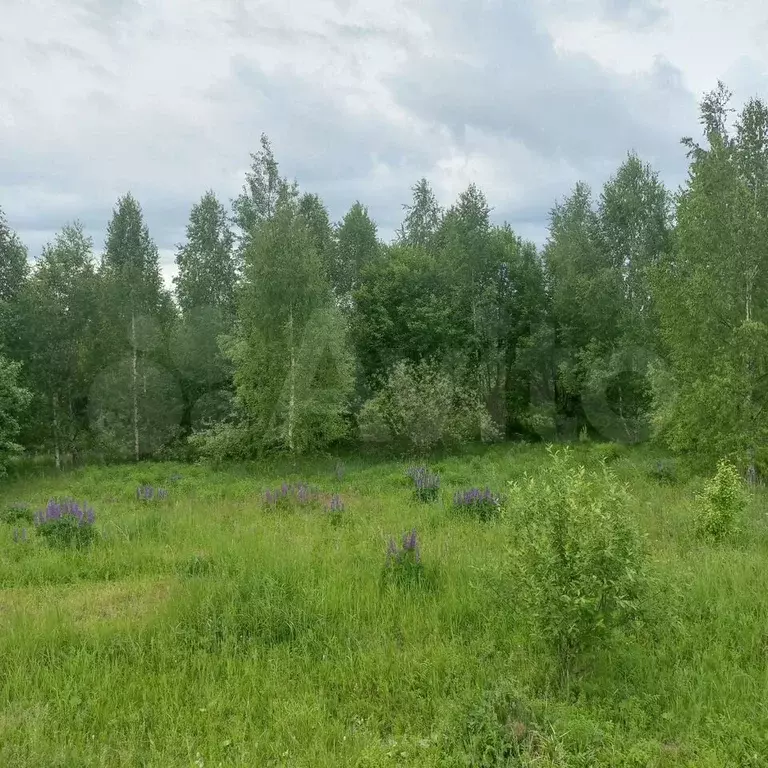 Участок 15 сот. (ИЖС) - Фото 0