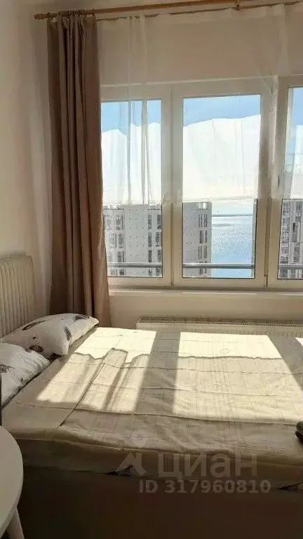 1-к кв. Санкт-Петербург просп. Крузенштерна, 4 (20.0 м) - Фото 1