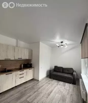 Квартира-студия: Тюмень, улица Пожарных и Спасателей, 1 (30.4 м) - Фото 2