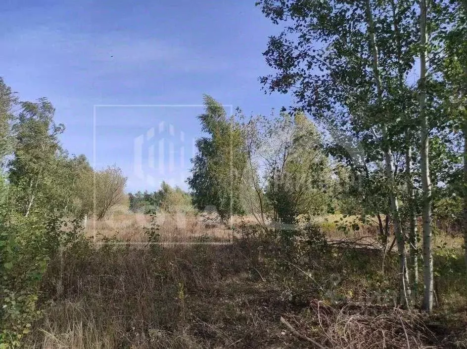 Участок в Воронежская область, с. Новая Усмань ул. Виноградная, 72А ... - Фото 0