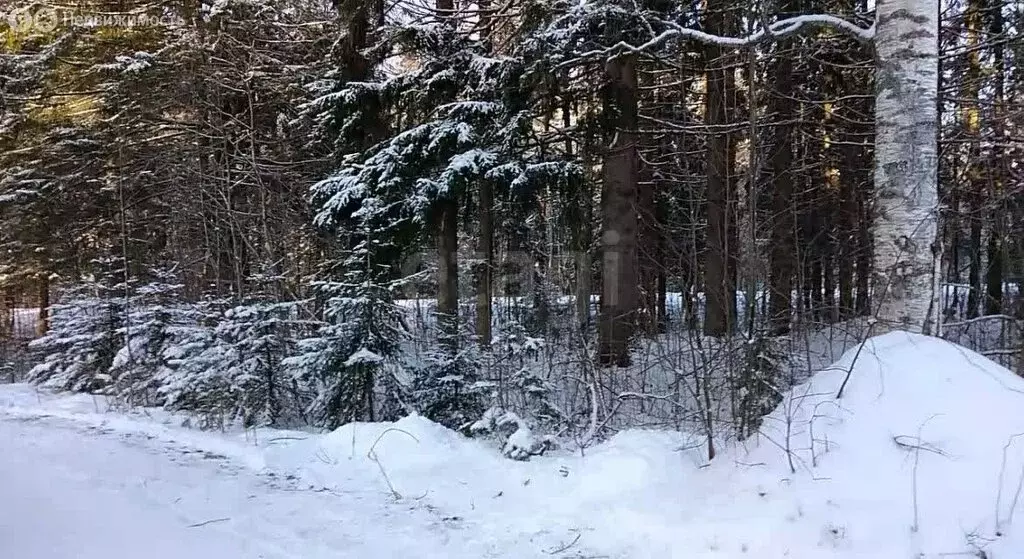 Участок в Рахьинское городское поселение, деревня Ладожский ... - Фото 1