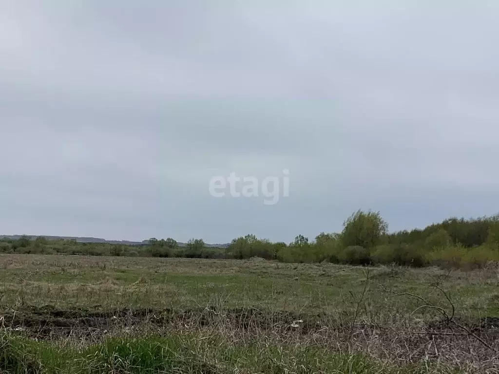 Участок в Курганская область, Щучанский муниципальный округ, пос. ... - Фото 0