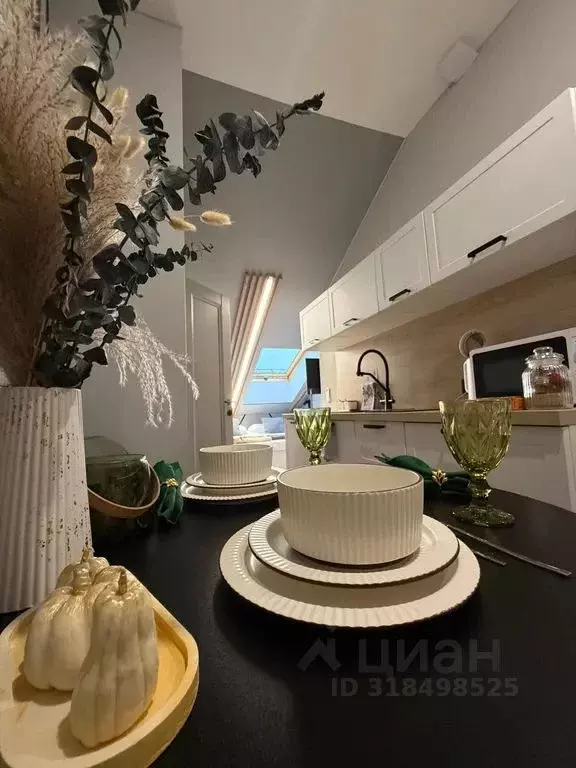 Студия Татарстан, Казань Лево-Булачная ул., 24/20 (22.0 м) - Фото 2