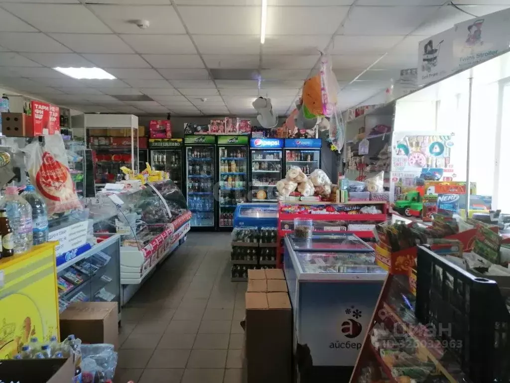 Торговая площадь в Липецкая область, Добринский муниципальный округ, ... - Фото 2