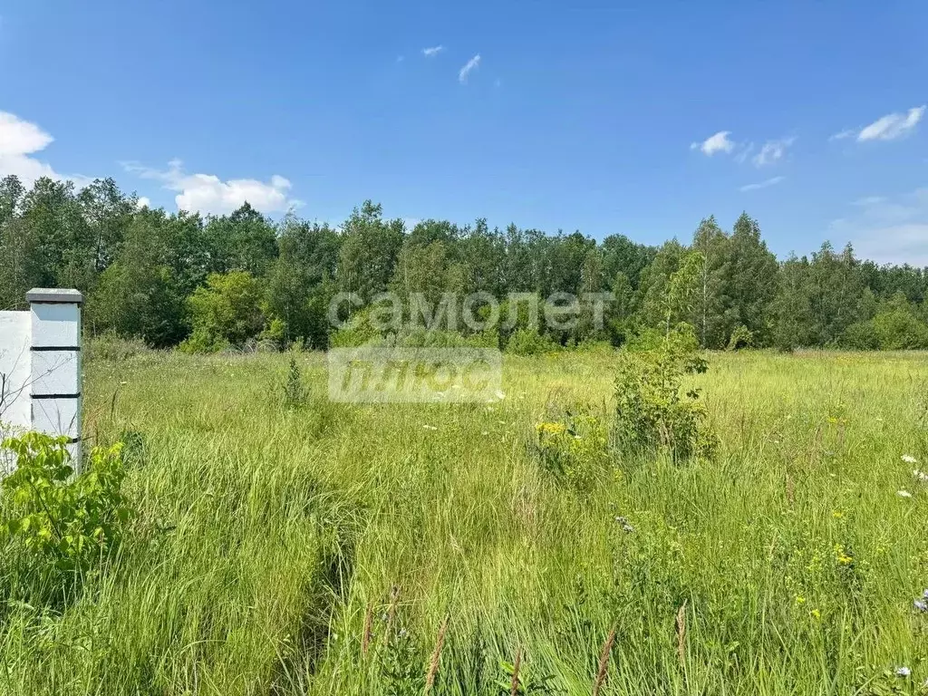 Участок в Липецкая область, Липецкий муниципальный округ, с. ... - Фото 1