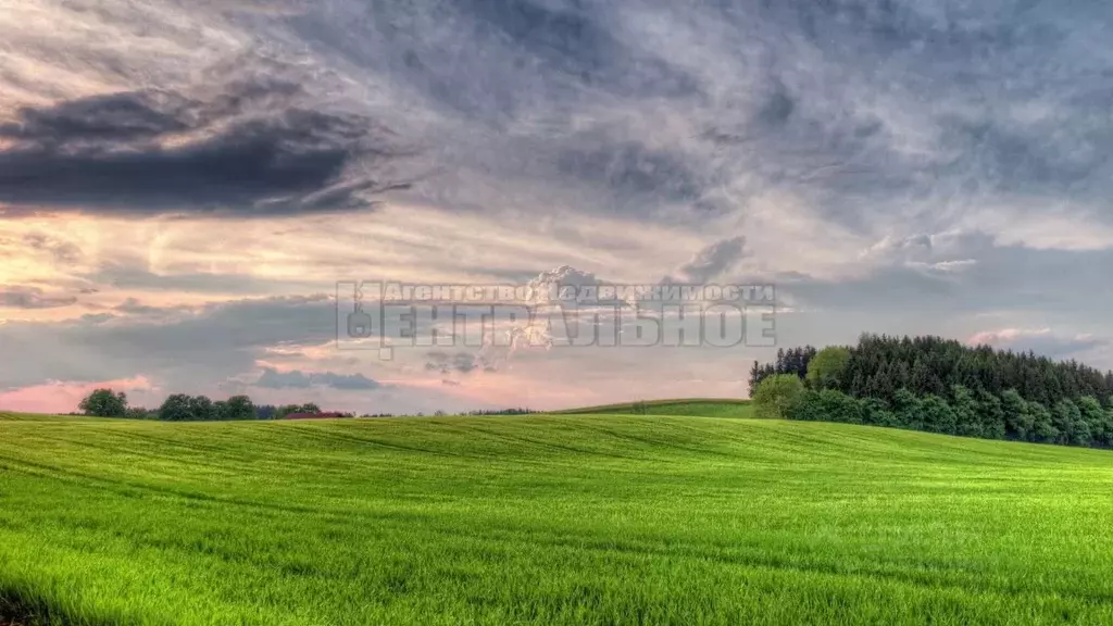 Участок в Смоленская область, Смоленский муниципальный округ, с. ... - Фото 1