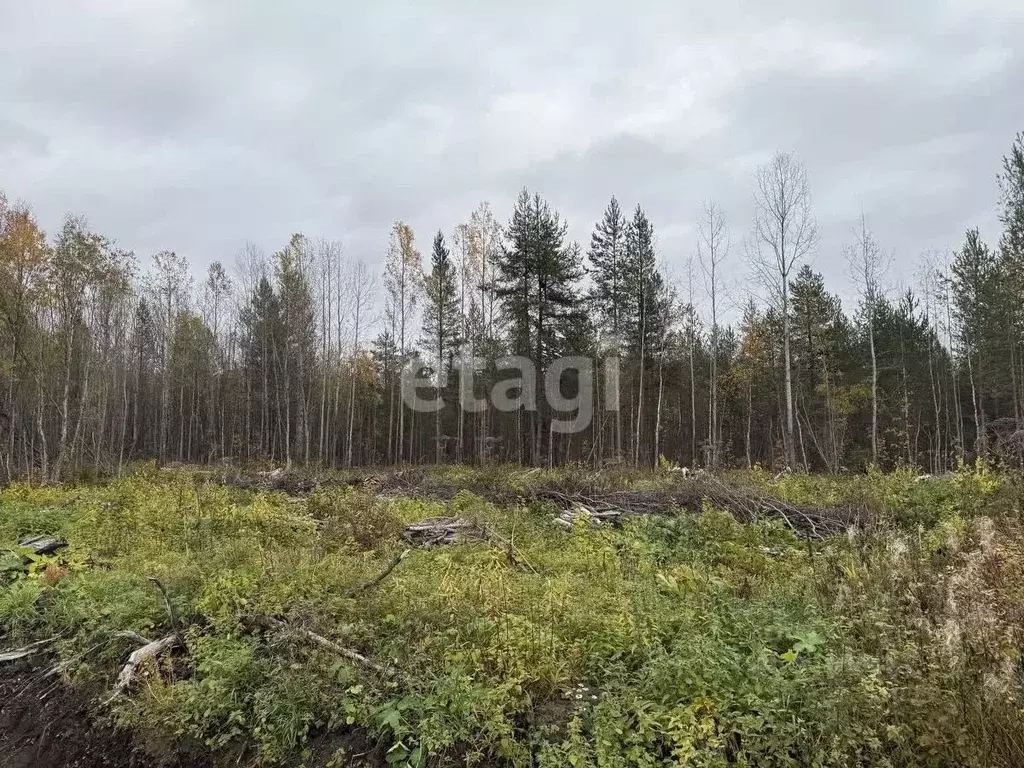 Участок в Архангельская область, Приморский муниципальный округ, д. ... - Фото 2