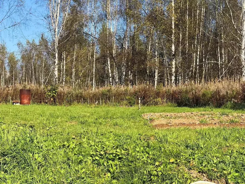 Участок в Московская область, Дмитровский муниципальный округ, Сбоево ... - Фото 1