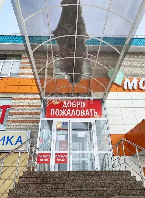 Офис в Курганская область, Шадринск Комсомольская ул., 16А (1372 м) - Фото 1