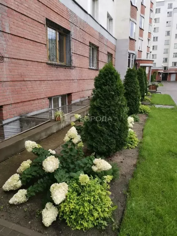 Офис в Новосибирская область, Новосибирск Горский мкр, 52 (72 м) - Фото 2